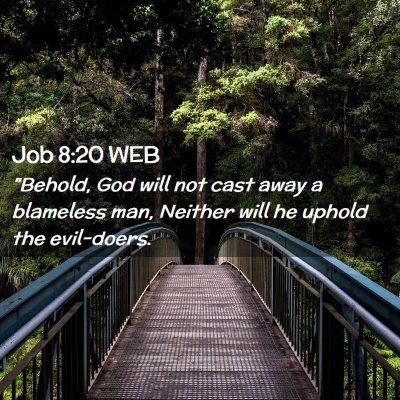 Picture 02 - Job 8:20 WEB - 