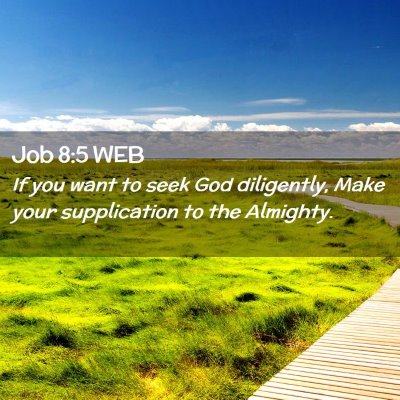 Picture 02 - Job 8:5 WEB - If you want to seek God diligently, Make your - Bible Verse Picture