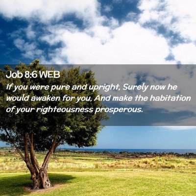 Picture 02 - Job 8:6 WEB - If you were pure and upright, Surely now he would - Bible Verse Picture