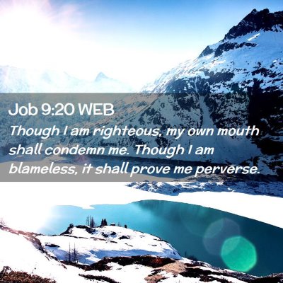Picture 02 - Job 9:20 WEB - Though I am righteous, my own mouth shall condemn - Bible Verse Picture