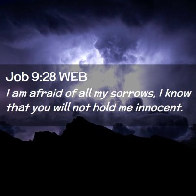 Picture 02 - Job 9:28 WEB - I am afraid of all my sorrows, I know that you - Bible Verse Picture