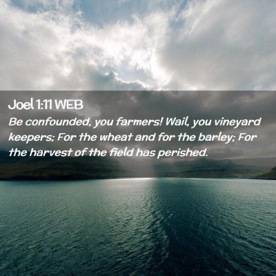 Picture 02 - Joel 1:11 WEB - Be confounded, you farmers! Wail, you vineyard - Bible Verse Picture