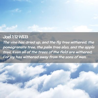 Picture 02 - Joel 1:12 WEB - The vine has dried up, and the fig tree withered; - Bible Verse Picture