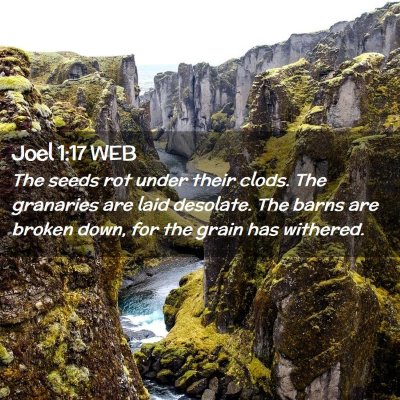 Picture 02 - Joel 1:17 WEB - The seeds rot under their clods. The granaries - Bible Verse Picture