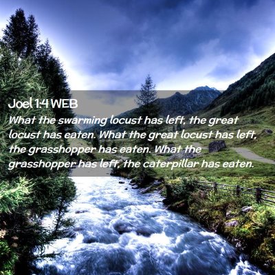 Picture 02 - Joel 1:4 WEB - What the swarming locust has left, the great - Bible Verse Picture