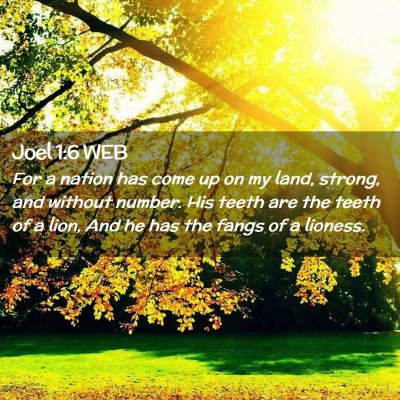Picture 02 - Joel 1:6 WEB - For a nation has come up on my land, strong, and - Bible Verse Picture