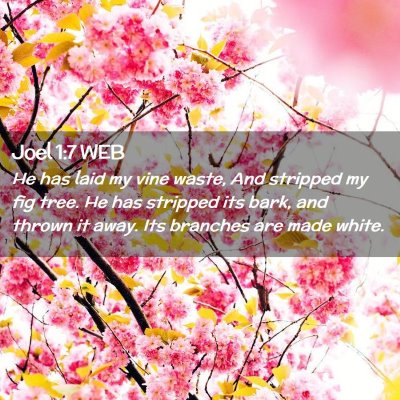 Picture 02 - Joel 1:7 WEB - He has laid my vine waste, And stripped my fig - Bible Verse Picture