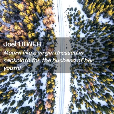 Picture 02 - Joel 1:8 WEB - Mourn like a virgin dressed in sackcloth for the - Bible Verse Picture