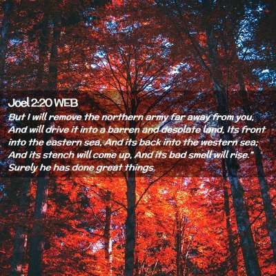Picture 02 - Joel 2:20 WEB - But I will remove the northern army far away from - Bible Verse Picture