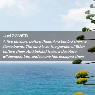Picture 02 - Joel 2:3 WEB - A fire devours before them, And behind them, a - Bible Verse Picture