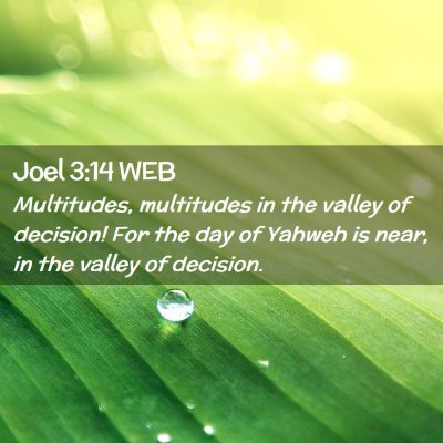 Picture 02 - Joel 3:14 WEB - Multitudes, multitudes in the valley of decision! - Bible Verse Picture