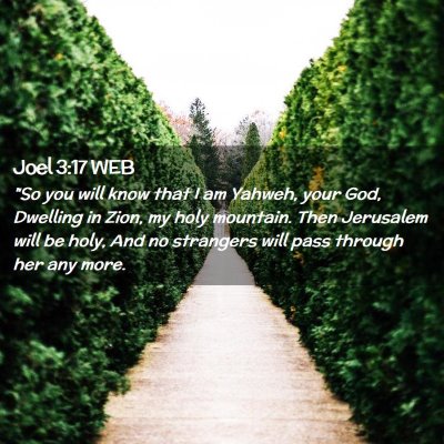 Picture 02 - Joel 3:17 WEB - 