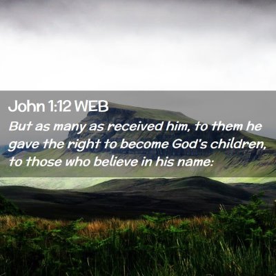 Picture 02 - John 1:12 WEB - But as many as received him, to them he gave the - Bible Verse Picture
