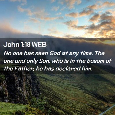 Picture 02 - John 1:18 WEB - No one has seen God at any time. The one and only - Bible Verse Picture