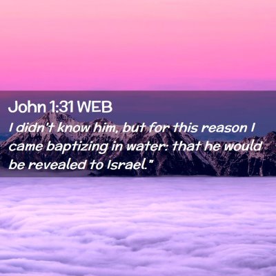 Picture 02 - John 1:31 WEB - I didn't know him, but for this reason I came - Bible Verse Picture