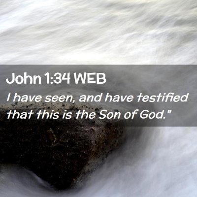 Picture 02 - John 1:34 WEB - I have seen, and have testified that this is the - Bible Verse Picture