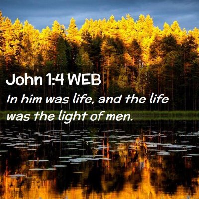 Picture 02 - John 1:4 WEB - In him was life, and the life was the light of - Bible Verse Picture