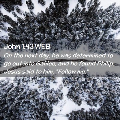 Picture 02 - John 1:43 WEB - On the next day, he was determined to go out into - Bible Verse Picture