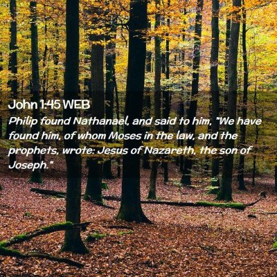 Picture 02 - John 1:45 WEB - Philip found Nathanael, and said to him, 