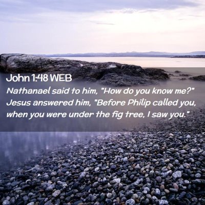 Picture 02 - John 1:48 WEB - Nathanael said to him, 