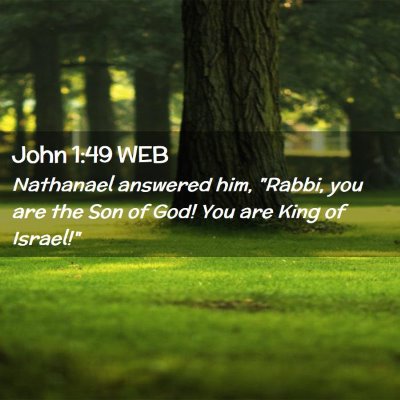 Picture 02 - John 1:49 WEB - Nathanael answered him, 