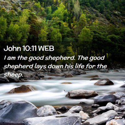 Picture 02 - John 10:11 WEB - I am the good shepherd. The good shepherd lays - Bible Verse Picture