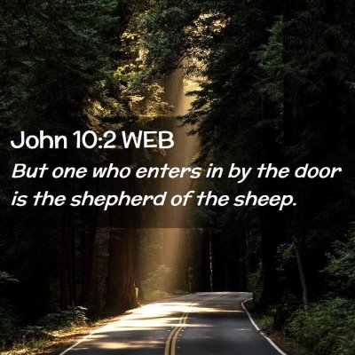 Picture 02 - John 10:2 WEB - But one who enters in by the door is the shepherd - Bible Verse Picture