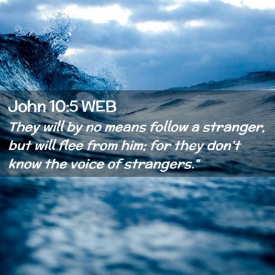 Picture 02 - John 10:5 WEB - They will by no means follow a stranger, but will - Bible Verse Picture