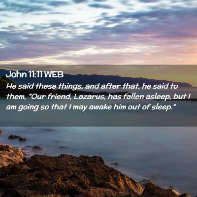Picture 02 - John 11:11 WEB - He said these things, and after that, he said to - Bible Verse Picture