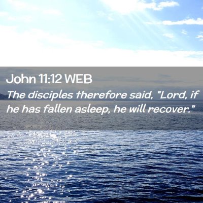 Picture 02 - John 11:12 WEB - The disciples therefore said, 
