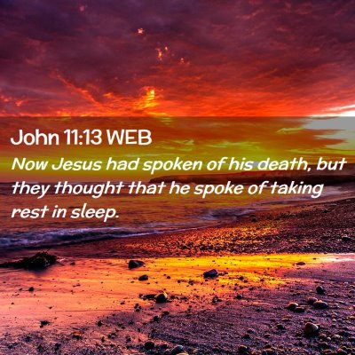 Picture 02 - John 11:13 WEB - Now Jesus had spoken of his death, but they - Bible Verse Picture