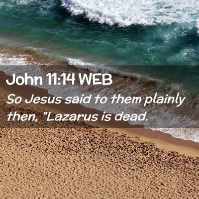Picture 02 - John 11:14 WEB - So Jesus said to them plainly then, 