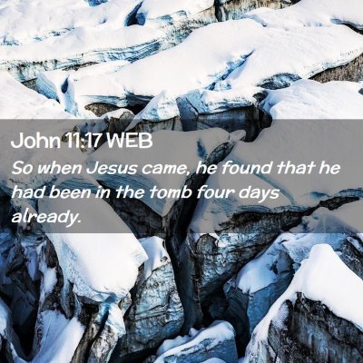Picture 02 - John 11:17 WEB - So when Jesus came, he found that he had been in - Bible Verse Picture