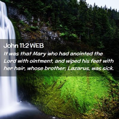 Picture 02 - John 11:2 WEB - It was that Mary who had anointed the Lord with - Bible Verse Picture