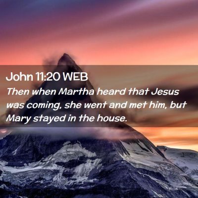 Picture 02 - John 11:20 WEB - Then when Martha heard that Jesus was coming, she - Bible Verse Picture