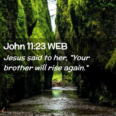 Picture 02 - John 11:23 WEB - Jesus said to her, 