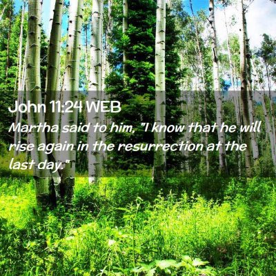 Picture 02 - John 11:24 WEB - Martha said to him, 