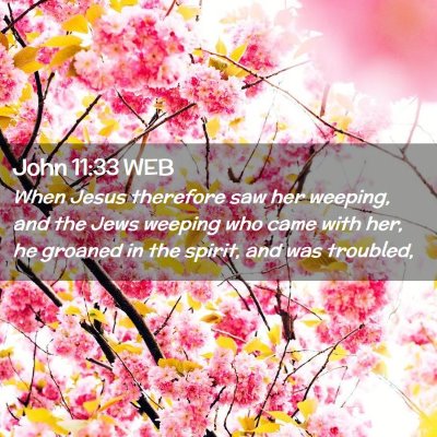 Picture 02 - John 11:33 WEB - When Jesus therefore saw her weeping, and the - Bible Verse Picture