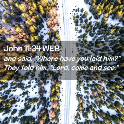 Picture 02 - John 11:34 WEB - and said, 