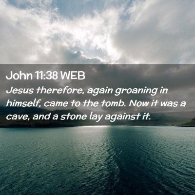 Picture 02 - John 11:38 WEB - Jesus therefore, again groaning in himself, came - Bible Verse Picture
