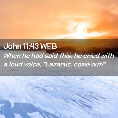 Picture 02 - John 11:43 WEB - When he had said this, he cried with a loud - Bible Verse Picture