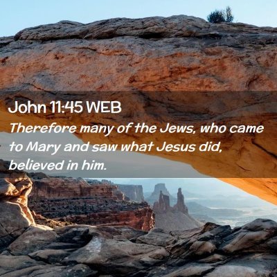 Picture 02 - John 11:45 WEB - Therefore many of the Jews, who came to Mary and - Bible Verse Picture