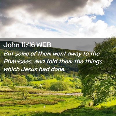 Picture 02 - John 11:46 WEB - But some of them went away to the Pharisees, and - Bible Verse Picture