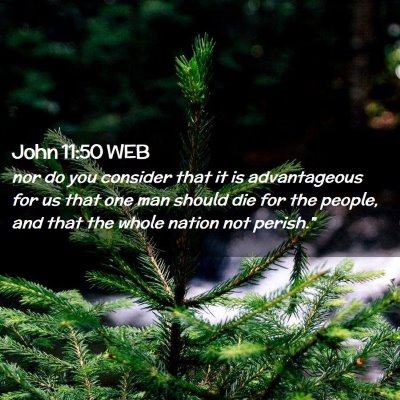 Picture 02 - John 11:50 WEB - nor do you consider that it is advantageous for - Bible Verse Picture