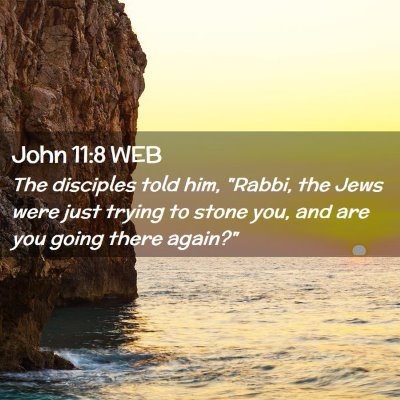 Picture 02 - John 11:8 WEB - The disciples told him, 