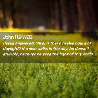 Picture 02 - John 11:9 WEB - Jesus answered, 
