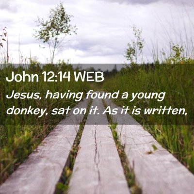 Picture 02 - John 12:14 WEB - Jesus, having found a young donkey, sat on it. As - Bible Verse Picture