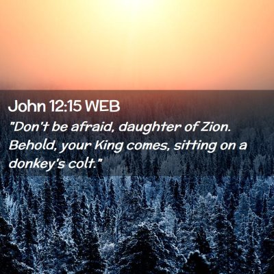 Picture 02 - John 12:15 WEB - 