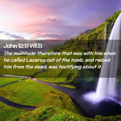 Picture 02 - John 12:17 WEB - The multitude therefore that was with him when he - Bible Verse Picture