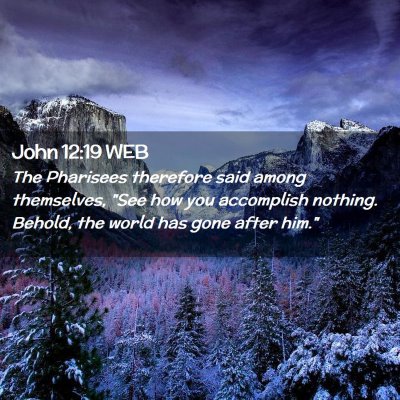 Picture 02 - John 12:19 WEB - The Pharisees therefore said among themselves, - Bible Verse Picture
